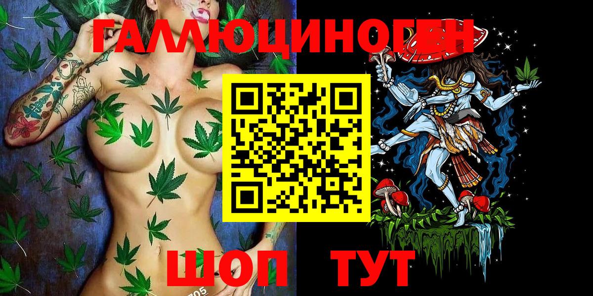 Гусиноозёрск  Галлюциногенные грибы Cubensis  Вход с VPN  Псилоцибиновые грибы Cubensis 