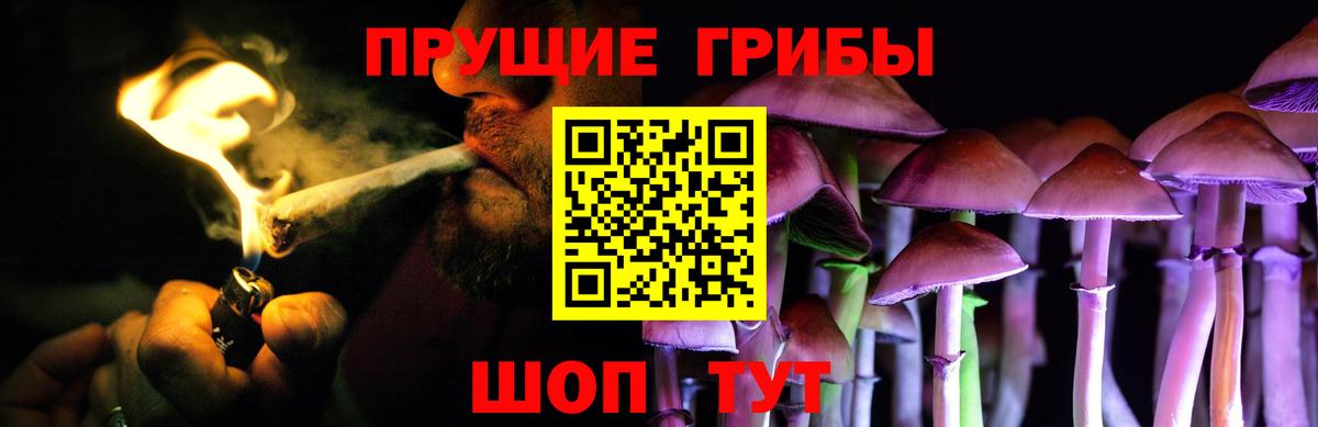 Галлюциногенные грибы Psilocybine cubensis Гусиноозёрск